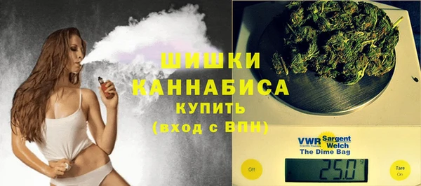 ПСИЛОЦИБИНОВЫЕ ГРИБЫ Алзамай