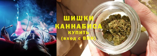 ПСИЛОЦИБИНОВЫЕ ГРИБЫ Алзамай